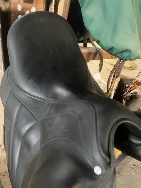 Selle antares concept