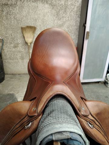 Selle Dressage Arion 