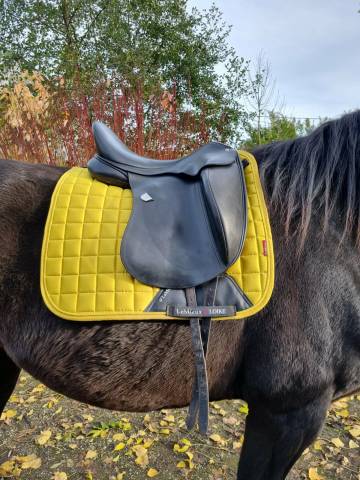 ✨ Selle de dressage Bates Innova ✨