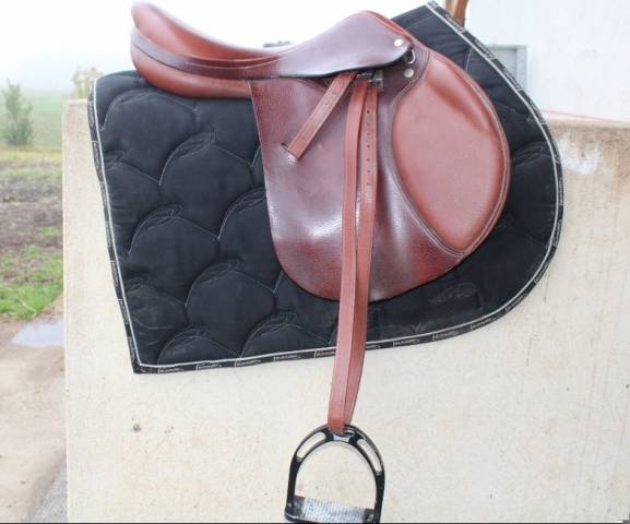 Selle CSO &Eacute;quipe Avant garde 17"