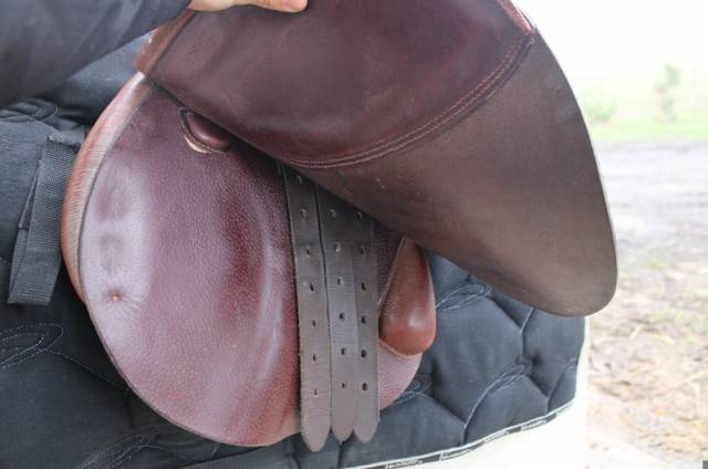 Selle CSO &Eacute;quipe Avant garde 17"