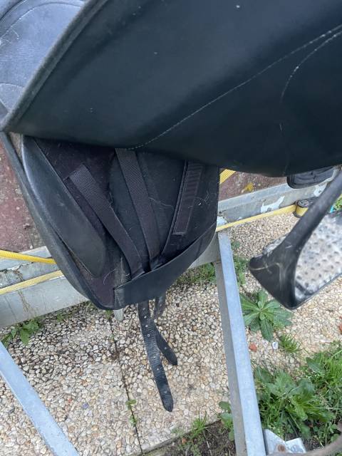 Selle dressage wintec 