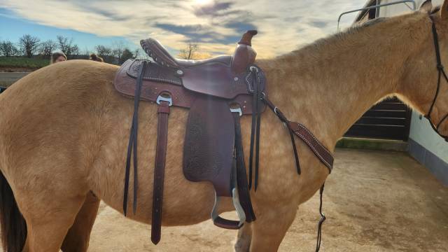 Selle western 16 pouces