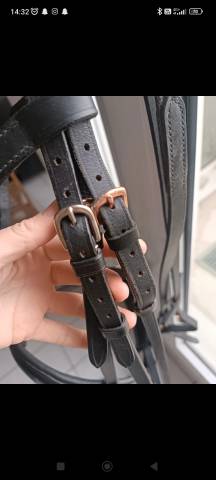 Filet anatomique + r&ecirc;nes 