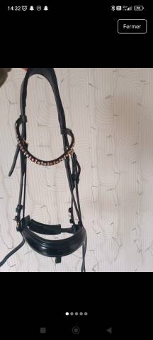 Filet anatomique + r&ecirc;nes 