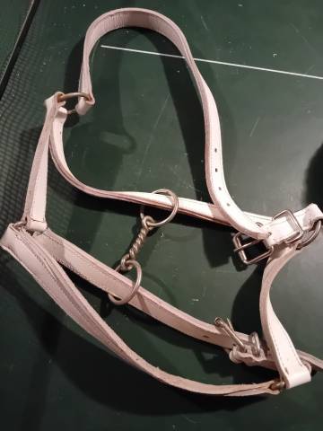 Licol cuir pour trait