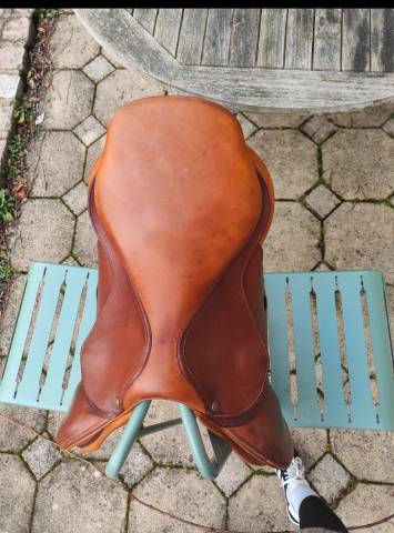 Selle Bruno Delgrange partition 17.5