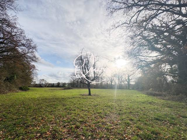 Terrain agricole - Pays d'Auge- 5 hectares