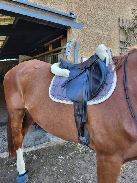 Selle Devoucoux en bon &eacute;tat 17,5