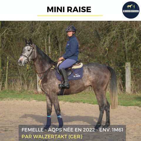 MINI RAISE - AQPS - 3 ANS