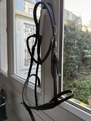 Bridon in horse we trust frontal disco vague parfait 