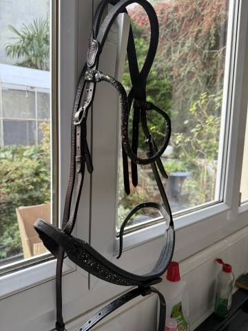 Bridon in horse we trust frontal disco vague parfait 