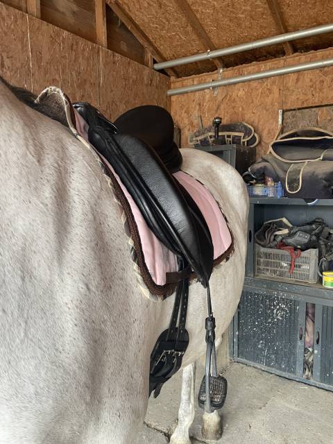Selle de dressage