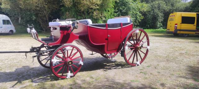 cal&egrave;che type landau