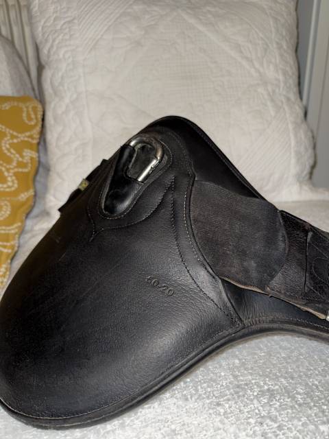 Sangle courte bavette Devoucoux 50