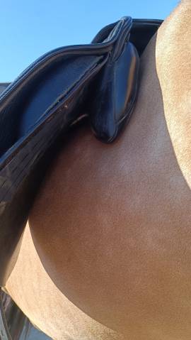 Selle dressage FairFax 18''