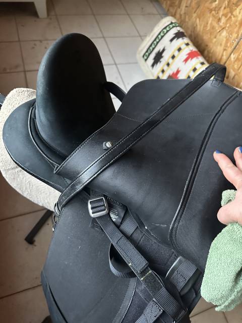 Selle Wintec Isabelle T18.5 