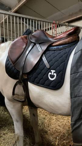 Selle Antares &agrave; vendre 