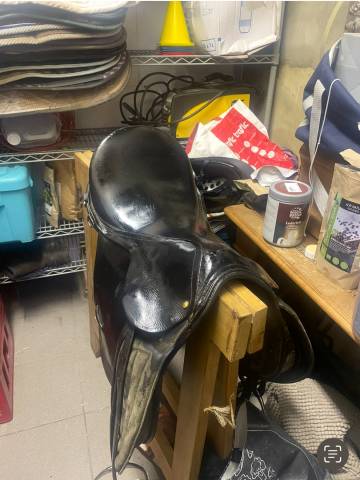 selle a vendre urgemment faire offre 