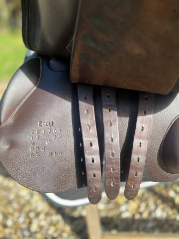 Selle S&eacute;oul forestier