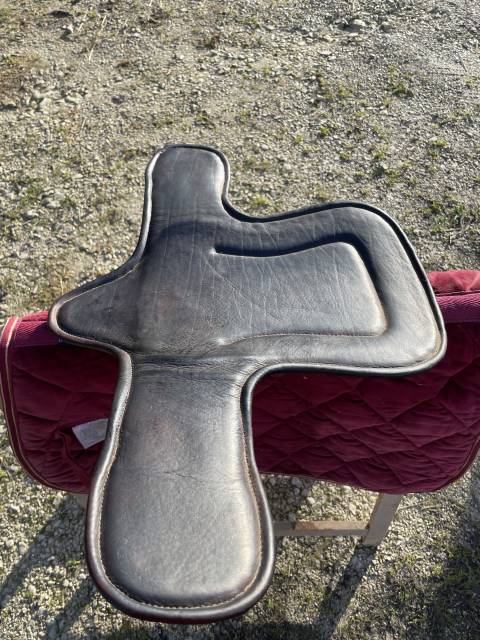 Sangle bavette Forestier 60 cm