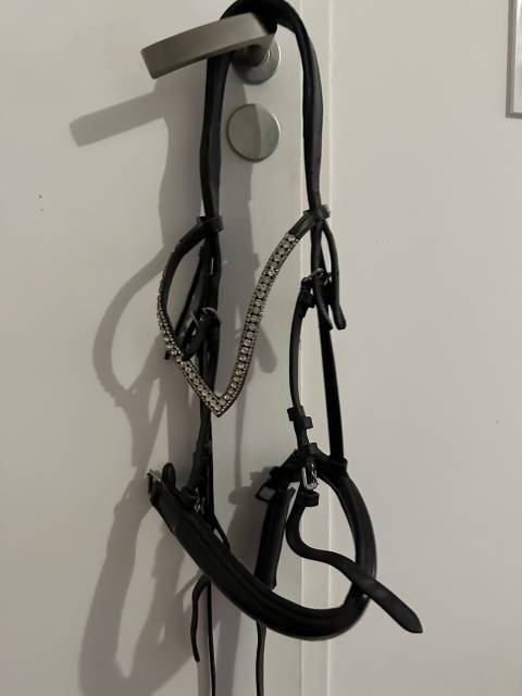 Filet anatomique Grayson