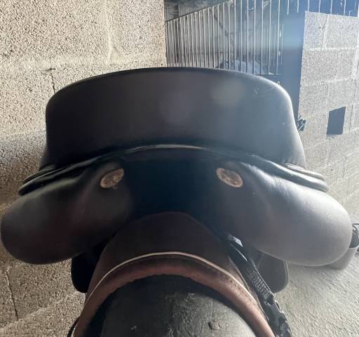 Selle GBS mixte de 2021