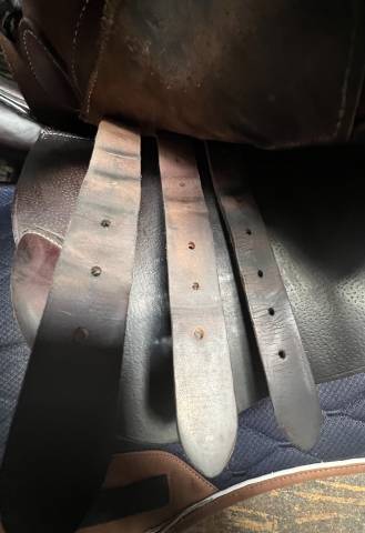 Selle GBS mixte de 2021