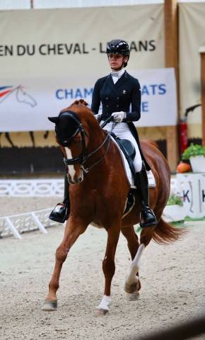 Frac dressage ANIMO noir 36