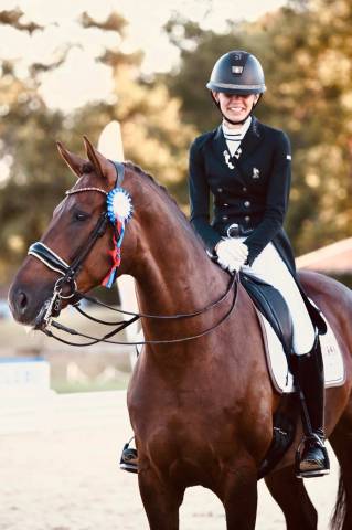 Frac dressage ANIMO noir 36
