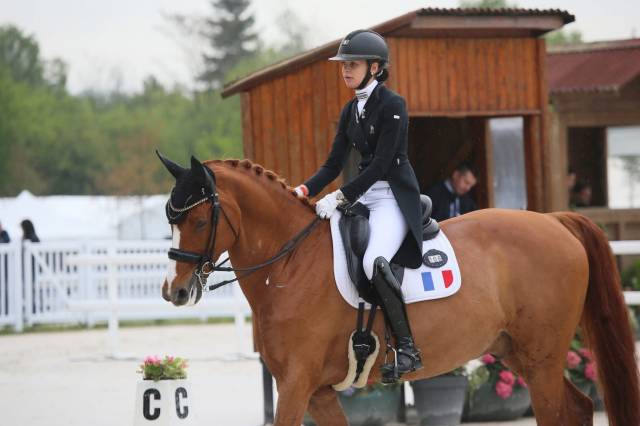 Frac dressage ANIMO noir 36