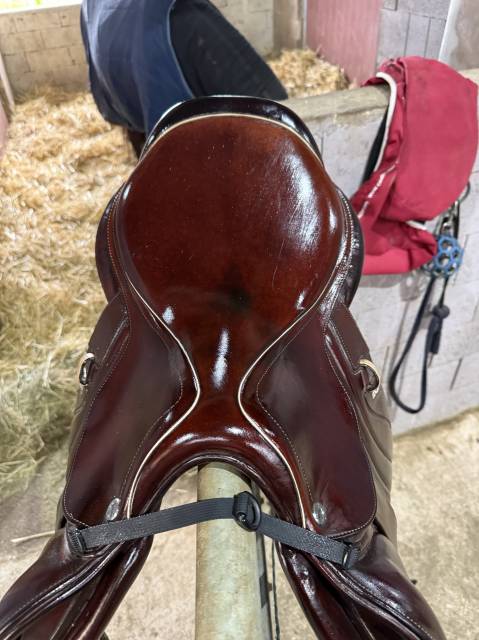 Selle Cwd 2GS mademoiselle 