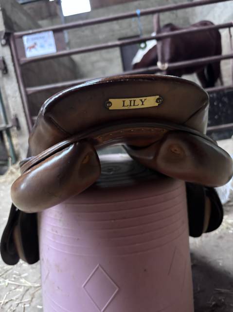 Selle bruno Delgrange 