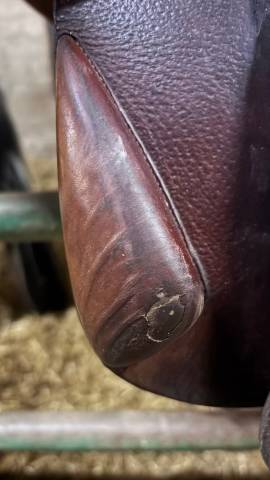 Selle bruno Delgrange 