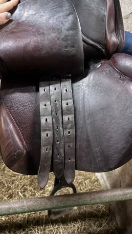 Selle bruno Delgrange 