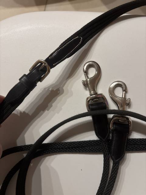 R&ecirc;nes allemandes 