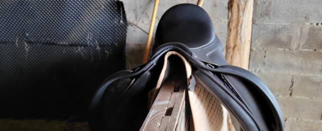 Selle dressage wintec har 