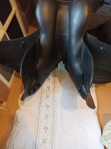 Selle &eacute;quitation Kent ans master 17'