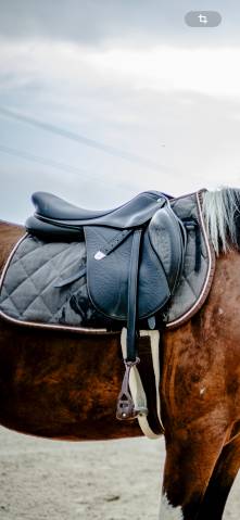 Selle d&rsquo;obstacle bates 17,5  cuir noir 