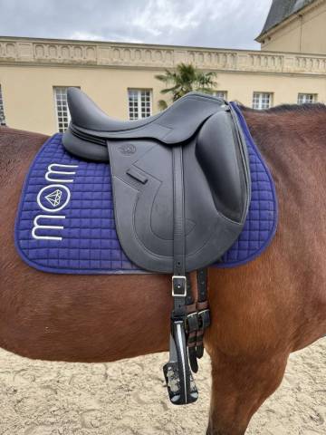 Selle de dressage antares 17p