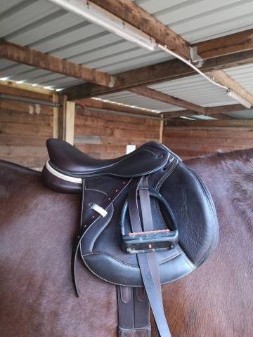 Selle ikonic jumping light 16,5 