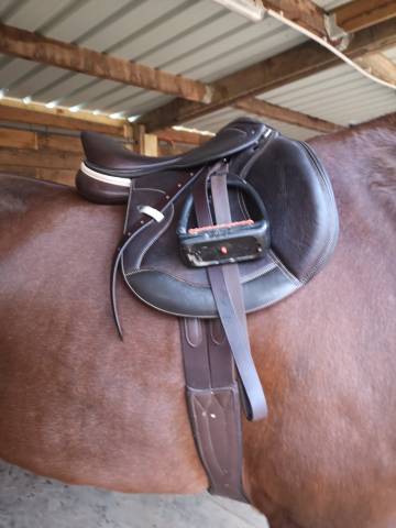 Selle ikonic jumping light 16,5 