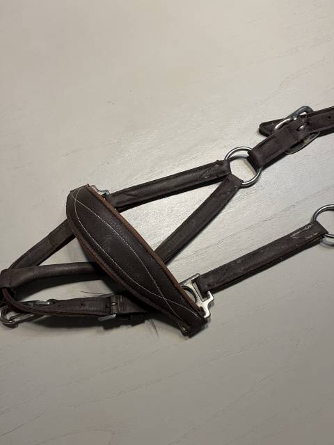 Lot de licol 