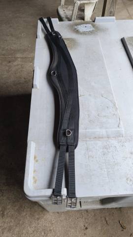 Sangle Pur Sang 130cms