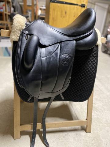 Selle forestier 17 de 2021