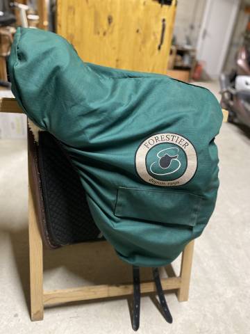 Selle forestier 17 de 2021