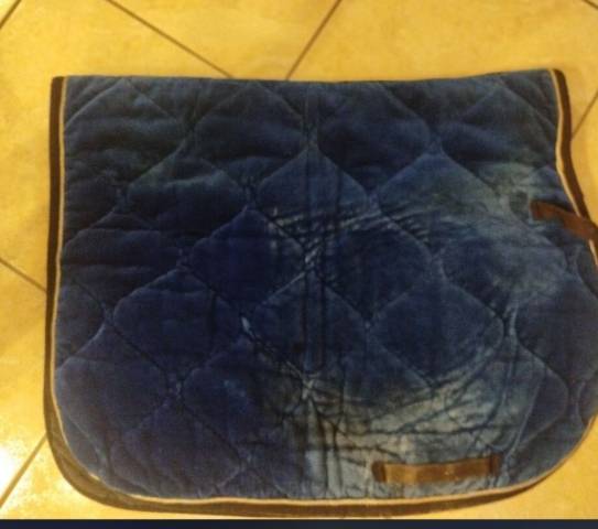 Tapis horse division 