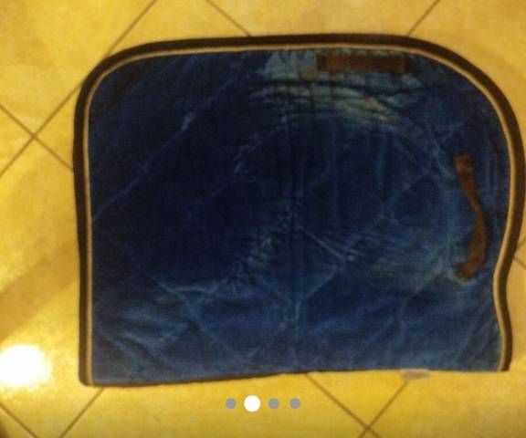 Tapis horse division 