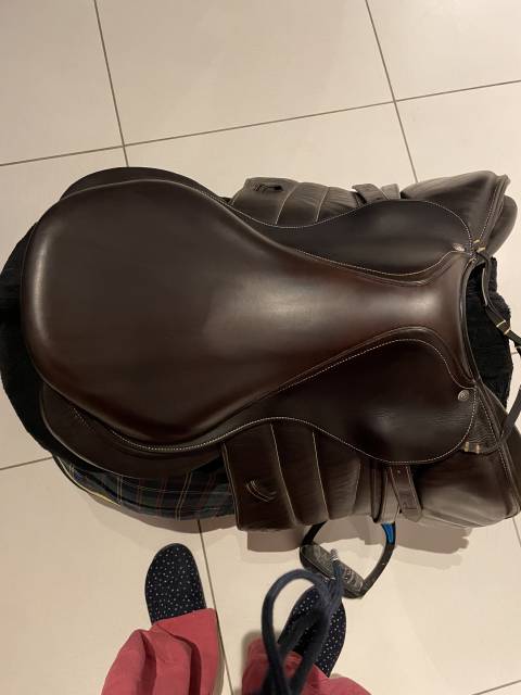 Selle Forestier seoul
