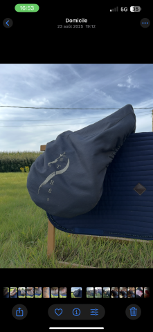 Selle antares 17 pouces 